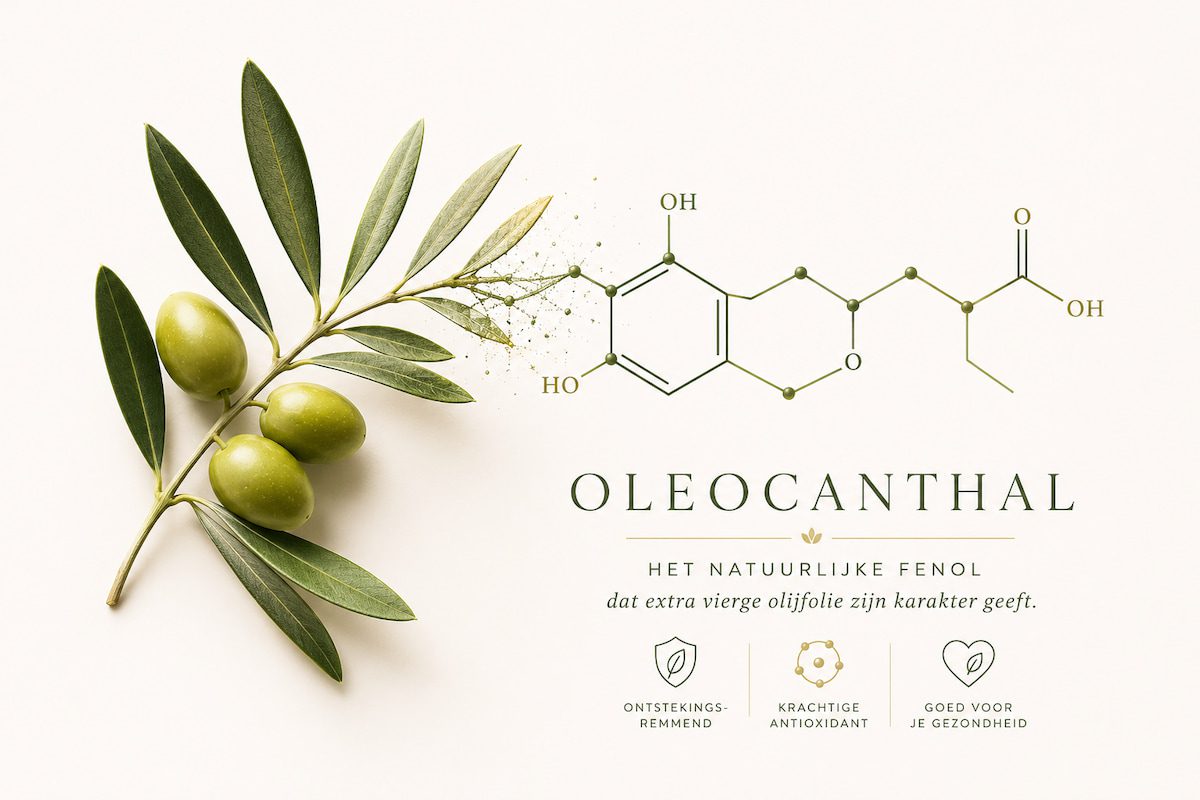 Oleocanthal in olijfolie — het natuurlijke fenol dat extra vierge olijfolie zijn ontstekingsremmende werking geeft